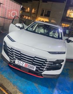 جیتۆر داشينگ